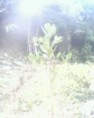 /album/fotogaleria-inicio/mara%c3%b1on%202-jpg1/